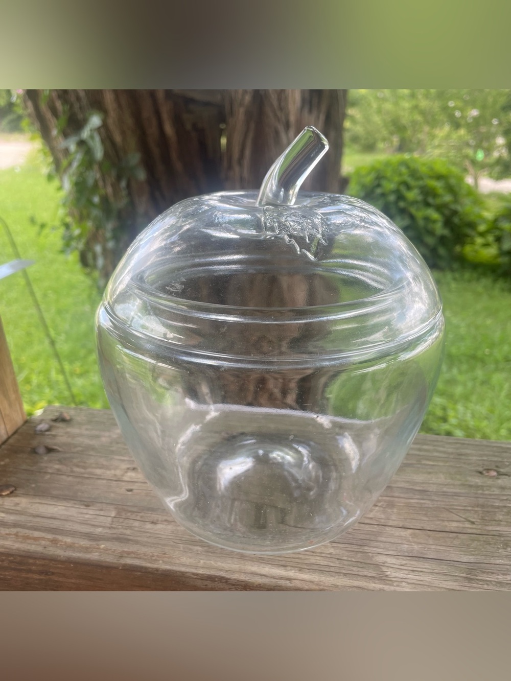 Vintage Clear Class Apple Canister Cookie or Candy Jar
